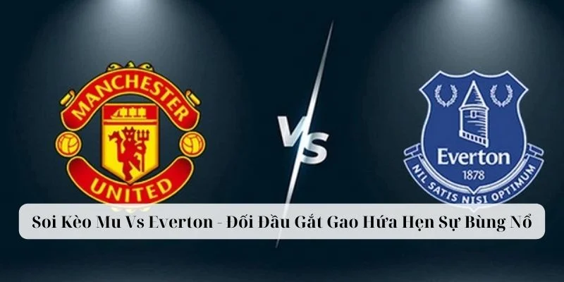 soi kèo mu vs everton về bờ