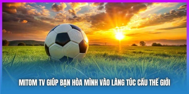 Mitom TV - Thương Hiệu Cung Cấp Thông Tin Bóng Đá Uy Tín